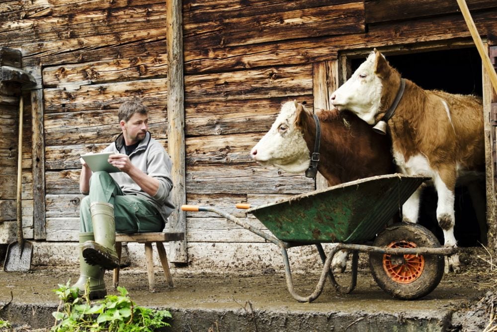 A farm in Switzerland. (Funky-data/iStock/Getty Images)
