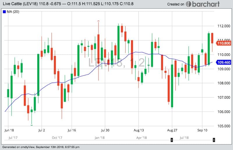 CME October 2018 live cattle, with 20-day moving average in blue. (Barchart.com)
