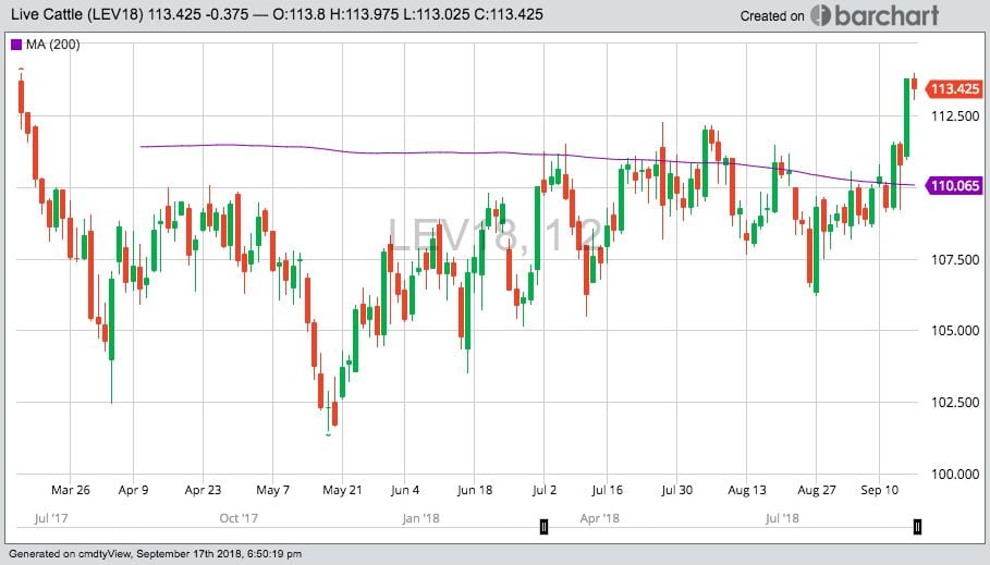 CME October 2018 live cattle, with 200-day moving average in purple. (Barchart.com)

