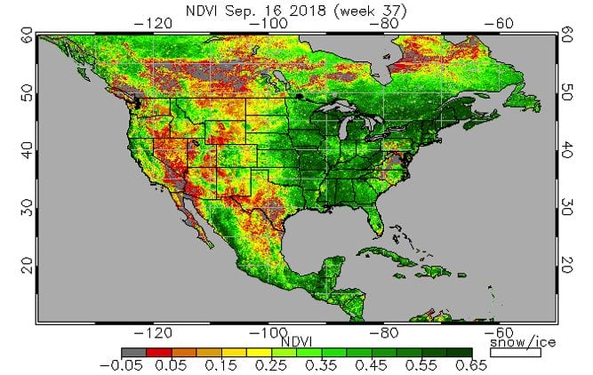 Statistics Canada&rsquo;s model-based report is based in part on data from sensors on the U.S. National Oceanic and Atmospheric Administration (NOAA) series of satellites. The Normalized Difference Vegetation Index (NDVI), shown here for Sept. 16 over an NOAA satellite map of North America, is used to gauge surface vegetation content. (OSPO.noaa.gov)
