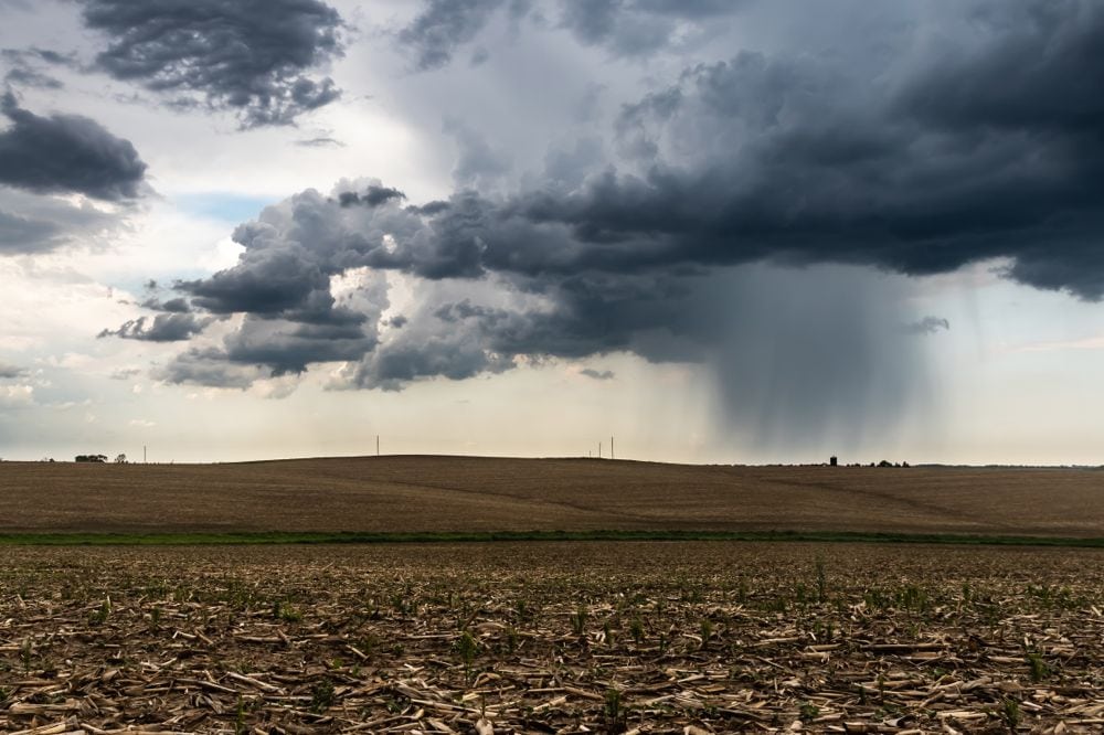 (Dylan Lee/iStock/Getty Images)
