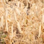 (Nathan4847/iStock/Getty Images)