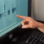 A Western blot analysis, used to detect specific proteins in tissue samples, is used to confirm BSE in cattle. (Peggy Greb photo courtesy ARS/USDA)
