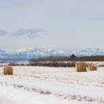 (Solidago/iStock/Getty Images)
