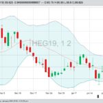 U.S. livestock: CME hogs weaken on technical selling, demand uncertainty