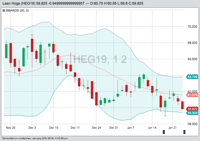 U.S. livestock: CME hogs weaken on technical selling, demand uncertainty