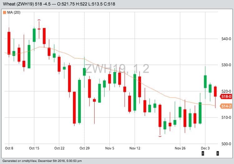 CBOT March 2019 wheat with 20-day moving average. (Barchart)
