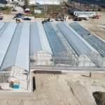 Greenhouse facilities under construction in Ontario for Peace Naturals, a Cronos Group subsidiary. (PeaceNaturals.com)
