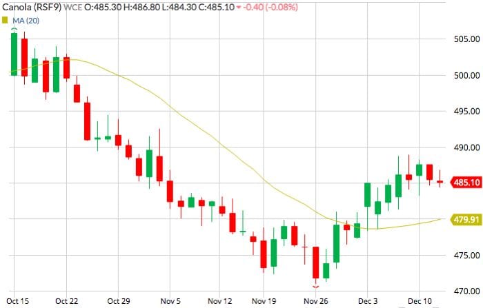 ICE January 2019 canola, with 20-day moving average. (Barchart)
