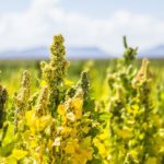 (Keshin/iStock/Getty Images)
