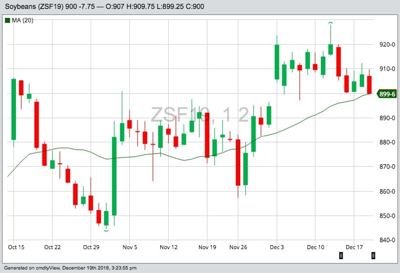 U.S. grains: Soybeans drop as export sales to China disappoint