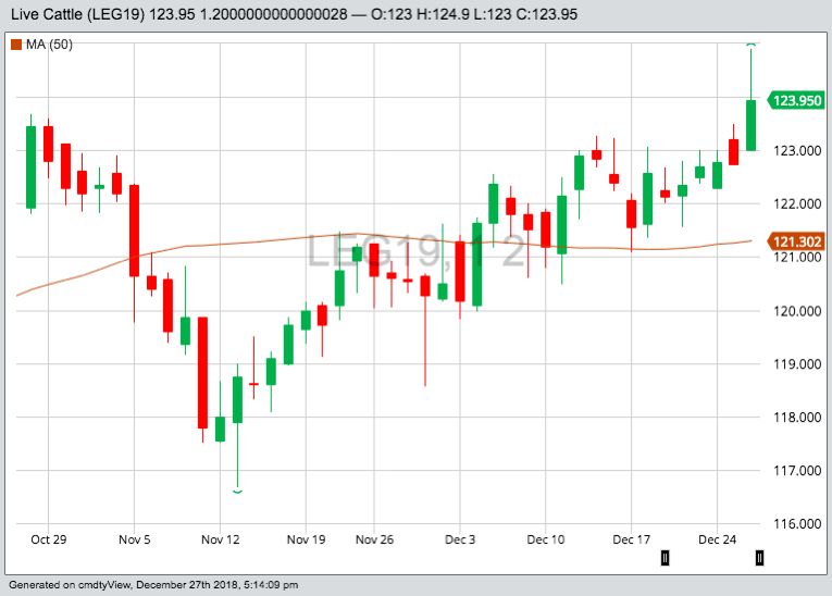 CME February 2019 live cattle with 50-day moving average. (Barchart)
