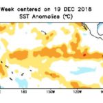 Pacific Ocean sea surface temperature (SST) anomalies in degrees Celsius for the week centred on Dec. 19. (CPC.ncep.noaa.gov)
