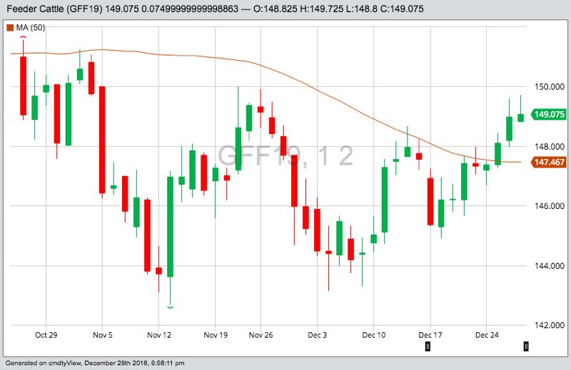 CME January 2019 feeder cattle with 50-day moving average. (Barchart)
