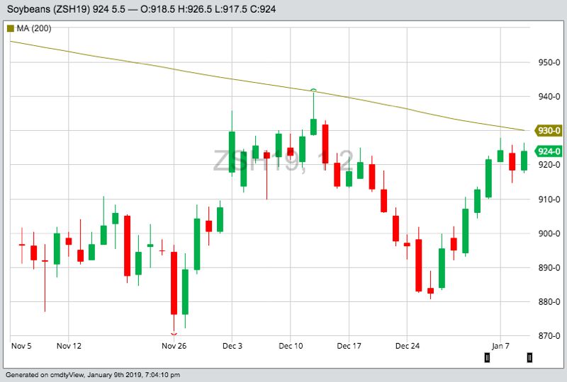 CBOT March 2019 soybeans, with 200-day moving average. (Barchart)
