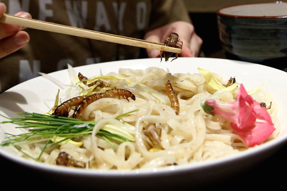 A customer eats an ‘insect tsukemen’ ramen noodle topped with fried worms and crickets at Ramen Nagi restaurant in Tokyo on April 9, 2017. (Photo: Reuters/Kim Kyung-Hoon)
