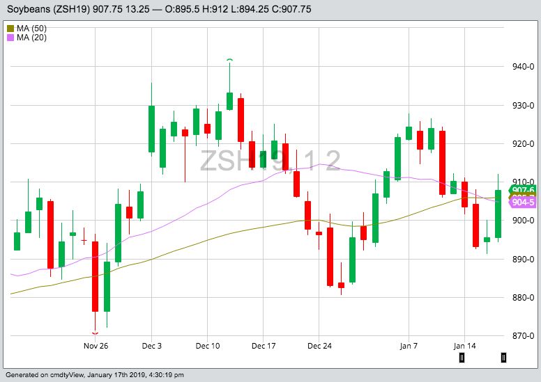 CBOT March 2019 soybeans with 20- and 50-day moving averages. (Barchart)
