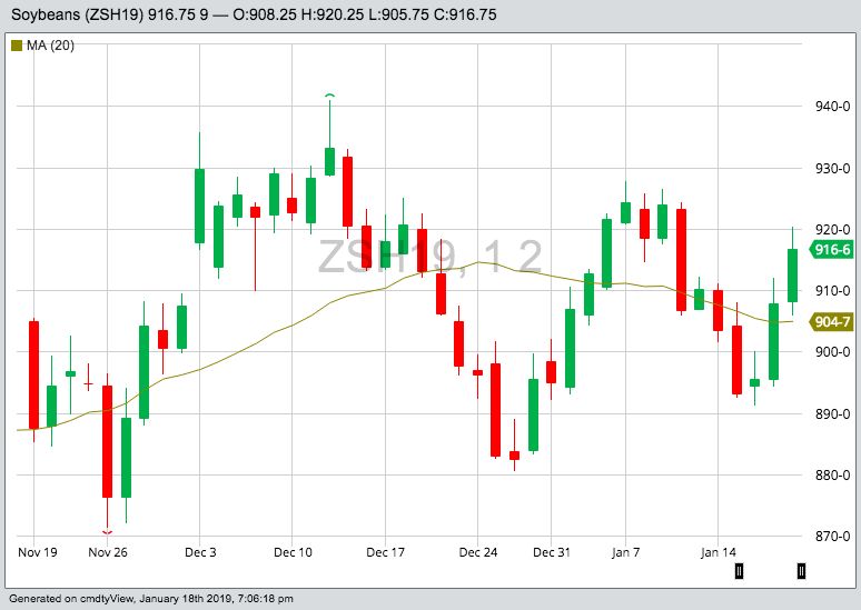 CBOT March 2019 soybeans with 20-day moving average. (Barchart)
