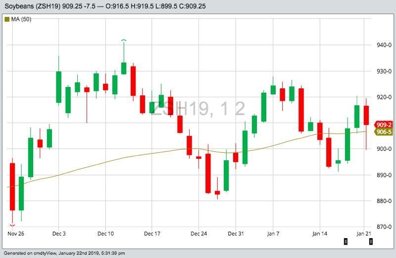 CBOT March 2019 soybeans, with 50-day moving average. (Barchart)
