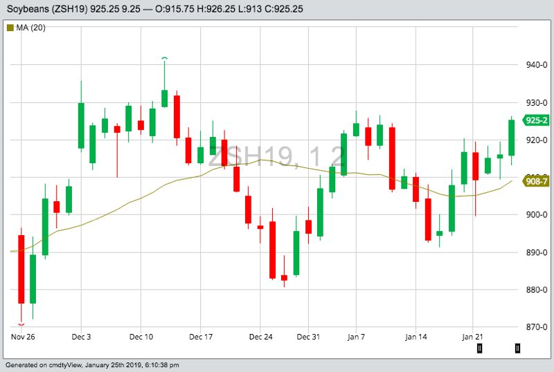 CBOT March 2019 soybeans with 20-day moving average. (Barchart)

