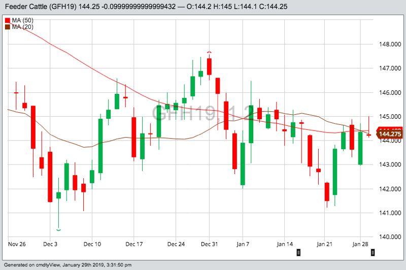 U.S. livestock: Feeder cattle weak as temperatures fall
