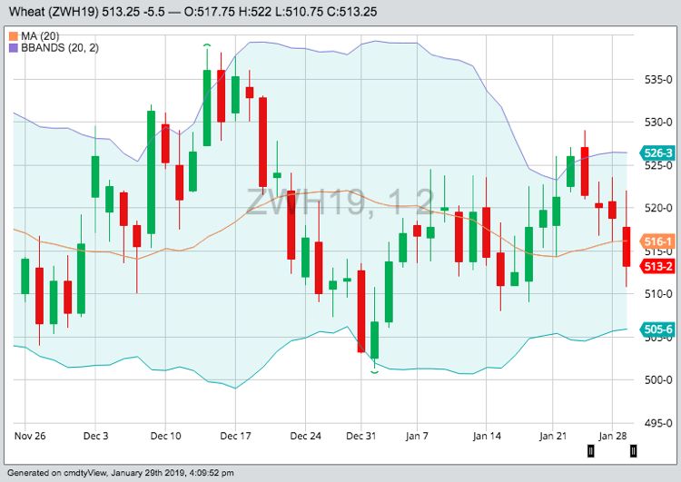 CBOT March 2019 wheat with Bollinger (20,2) bands. (Barchart)
