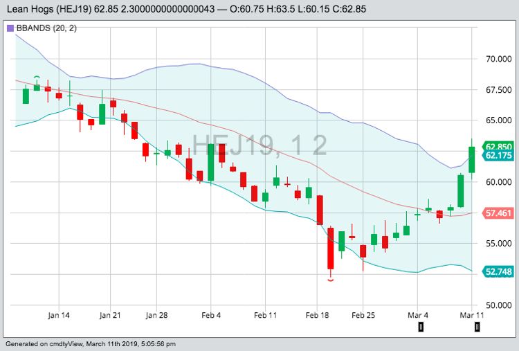 U.S. livestock: Hog futures rally for second day