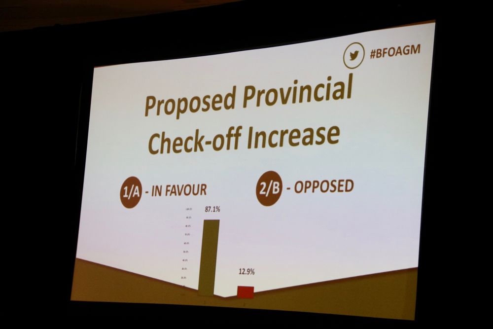 The proposal to increase checkoff funding for Beef Farmers of Ontario passed with a significant majority this year. (John Greig photo)
