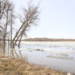 (Thamyrissalgueiro/iStock/Getty Images)
