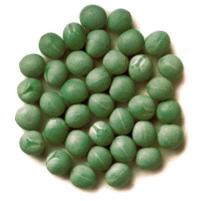 Pulse weekly outlook: Green pea premium to erode with acreage increase