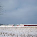 A file photo of hog barns in winter. (SimplyCreativePhotography/iStock/Getty Images)