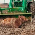 Photo: AccuWeather.com
