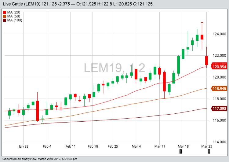 U.S. livestock: Live cattle tumble on bearish USDA data