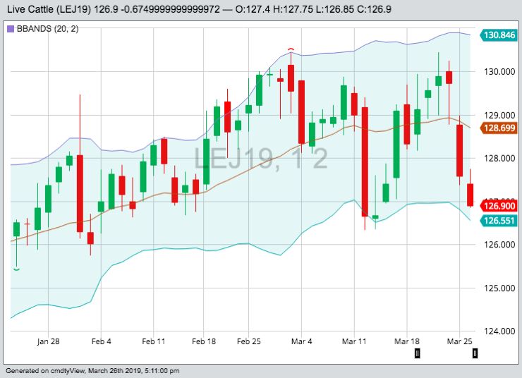 U.S. livestock: Live cattle retreat on technical selling, fund liquidation