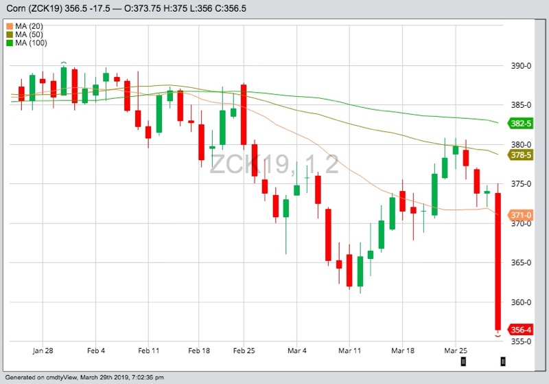 CBOT May 2019 corn with 20-, 50- and 100-day moving averages. (Barchart)

