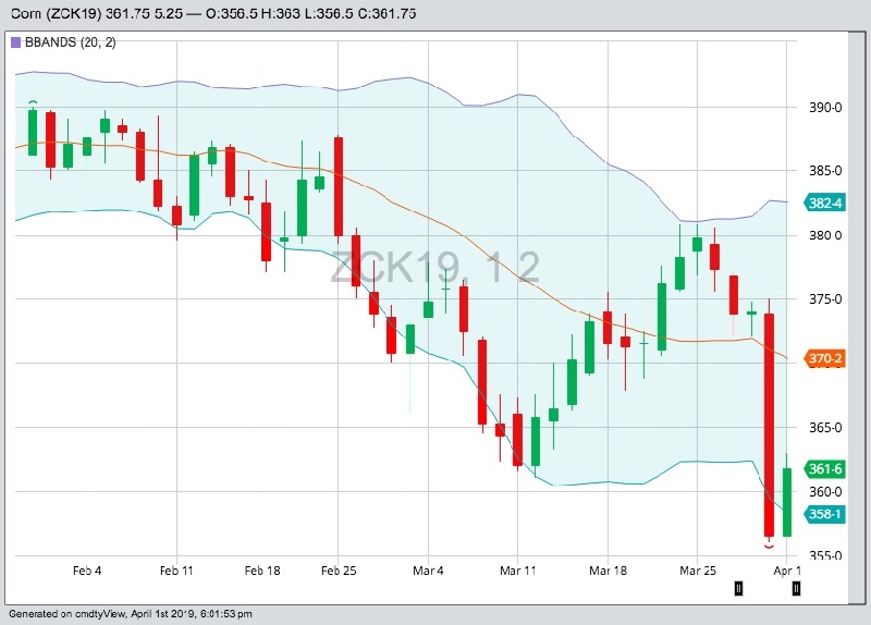CBOT May 2019 corn futures with Bollinger (20,2) bands. (Barchart)
