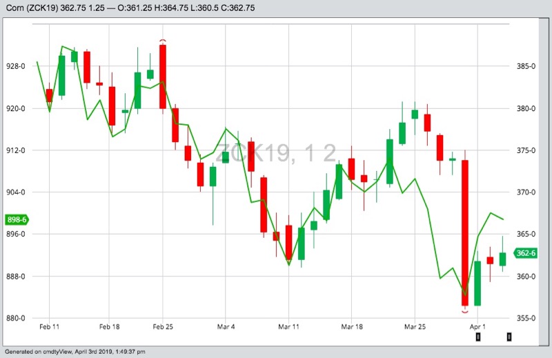 CBOT May 2019 corn (candlesticks) compared with May 2019 soybeans (green line). (Barchart)
