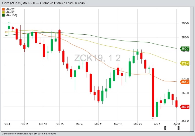 CBOT May 2019 corn, with 20-, 50- and 100-day moving averages. (Barchart)
