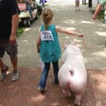 An eight-year-old handler walks her best-in-class York Barrow pig on June 4, 2014 at World Pork Expo in Des Moines. (File photo: Reuters/Lane Hickenbottom)

