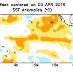 Sea surface temperature anomalies over the equatorial Pacific for the week centred on April 3, 2019. (CPC.ncep.noaa.gov)

