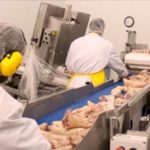 (DrummondExport.com)
