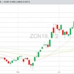 U.S. grains: Corn up as crop ratings ease