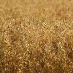 (ShaunL/iStock/Getty Images)
