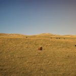 (Photo courtesy Canada Beef Inc.)
