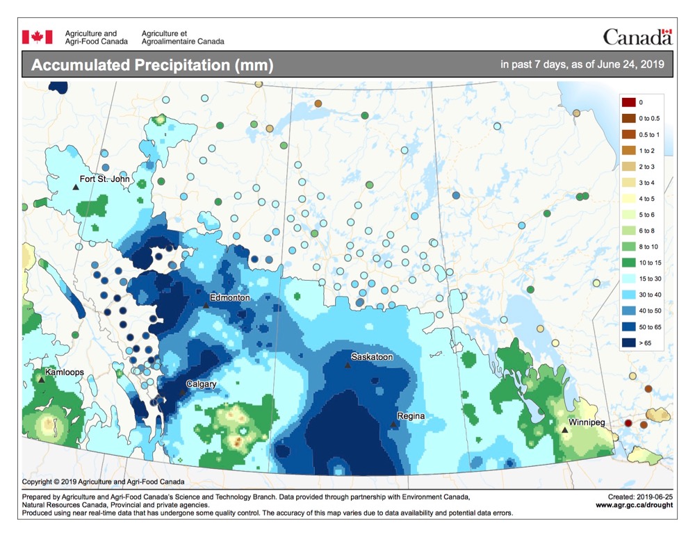 Rain gives farmers relief, for now, from three-year drought