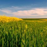 (Elenaphotos/iStock/Getty Images)
