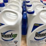 Monsanto Co’s Roundup for sale in Encinitas, California, June 26, 2017.  Photo: Reuters/Mike Blake/File
