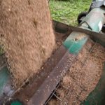 File photo of lentils being moved into bins in Saskatchewan. (Bobloblaw/iStock/Getty Images)
