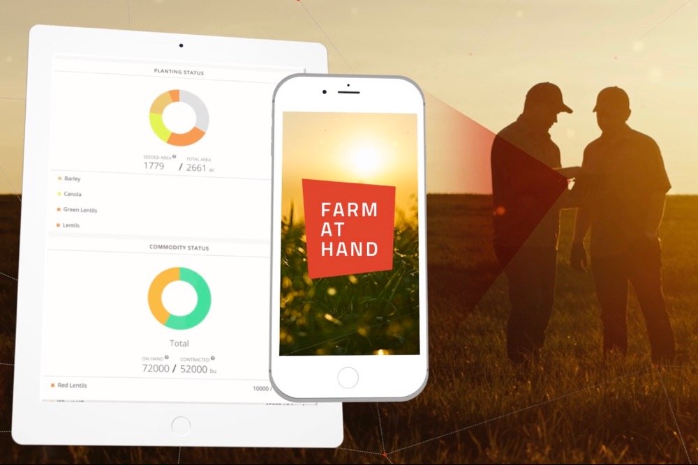Screengrab from a Farm At Hand promotional video via Vimeo.

