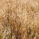 (Sundown001/iStock/Getty Images)
